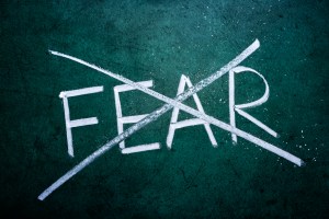 No Fear Year image