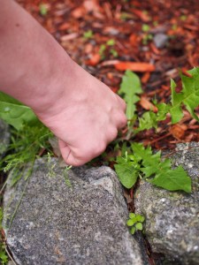 ???????????????????????????????????????????????????????????????????????????????????????????????????????????????????